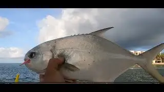 POMPANO Fishing with Doc's Goofy Jig EP.96