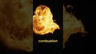 Food Fact#011: Pistachios Can Spontaneously Combust?! 🔥🌰