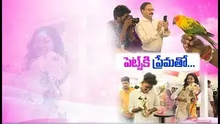 Petex Expo Grandly Held | at Hyderabad