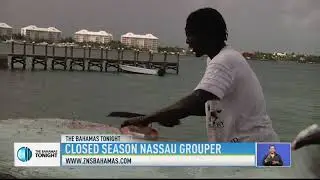 CLOSED SEASON FOR THE NASSAU GROUPER