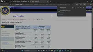 Download a Form 10-K into Excel from the sec.gov website
