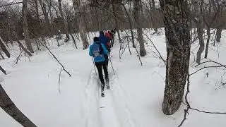 Initiation au Ski-raquette