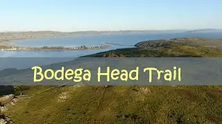 Bodega Bay | Bodega Head Trail | Sonoma Coast 4k Drone Video