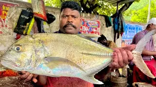 KASIMADU SPEEDSELVAM BIG SIZE TREVALLY FISH CUTTING VIDEO #kasimeduselvam #fishcutting 