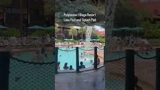 Polynesian Village Resort pool #disneyworld #Polynesianresort #lavapool #travelagent