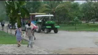 CIMG3266