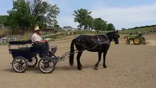 Harnessing & Driving A Horse - Part 1 (General Overview)
