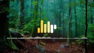 Life Synthesis - Soft Electronic Music