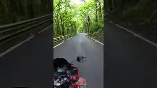 🏍️❣️🌿 #r15s #yamahar15