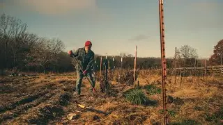 #56 Catching Up. . . Planting Wheat, Digging Dahlias, Weaving Raised Beds