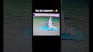 Goat yoga 🐐😭 &ldquo;that just happened&rdquo;