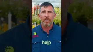 Celebrate National Gardening Week with Troy&rsquo;s Tropics | Florida Gardening Tips & Plant Picks