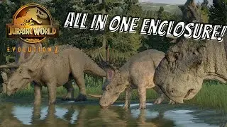 Jurassic World Evolution 2: All Ceratopsians in 1 Paddock!