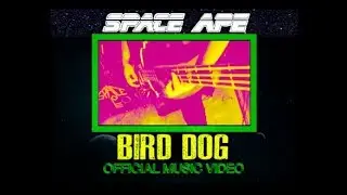 Space Ape - Bird Dog (Official Music Video)