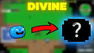 I went broke for a RoTMG Divine Pet
