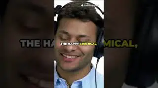 Why is Music So...Explainer