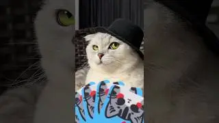 Соня опять меня обманула! 😳