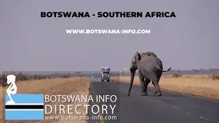 Experience the Beauty of Botswana - A Must-Visit Southern African Destination