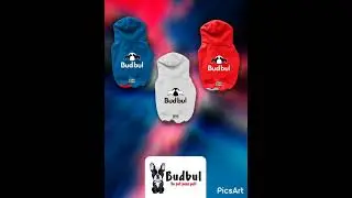 Moletom com capuz para Pet - budbul