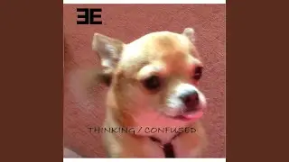 Thinking / Confused