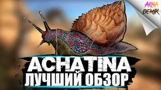 Ахатина (Achatina) в АРК.  Лучший обзор: приручение, разведение и  способности в ark.