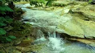 Soft Forest Cascade on Stone | Natural Water Sounds for Calm Focus