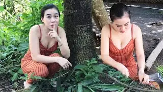 AMAZING COOKING | Katy trap coucal ​| Katy Kitchen
