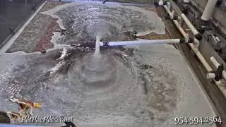 Wool rug stains removal | PetPeePee company