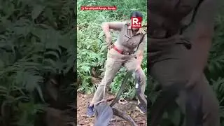 Kerala Officer&rsquo;s Brave Rescue of King Cobra Goes Viral