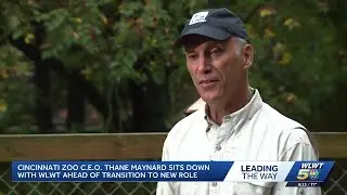 Cincinnati Zoo's Thane Maynard to transition to new role after decades as director