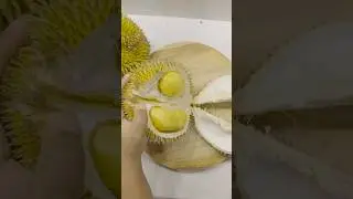 The most popular king of fruit Durian smoothie drink #shorts #shortvideo #trending #food