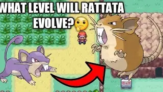 How to Evolve Rattata to Raticate on Pokemon Leafgreen/Firered