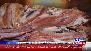MASHRIQ NEWS LIVE | Latest News, Headlines, & Breaking News |