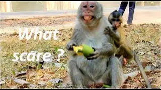 Supper scare |  mom Jane & Janna scare king Mark so much | Mark not like all Baby