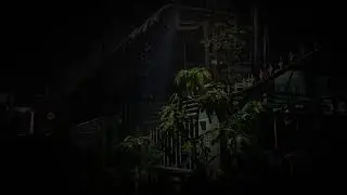 The Silent Night Rain Calms the Soul