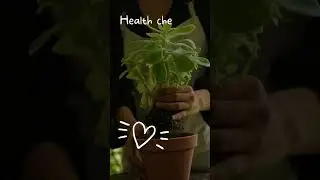 My Plant Care Routine 🌿 | How I Keep My Indoor Plants Happy & Healthy 🪴