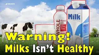 The Real Difference Between Milks | What the Dairy Industry Hides