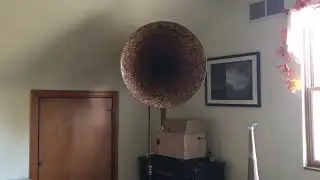 Gramophone Test No. 1: 100 Hz Exponential Horn vs. 150 Hz Tractrix Horn