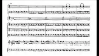 Mozart - Va, dal furor portata KV 21