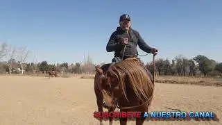 CABALLO RÍGIDO A LA DERECHA