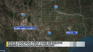 First case of equine herpes virus confirmed in New Mexico