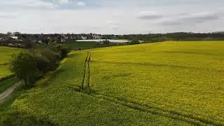 Fischenich