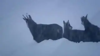 Arlberg The Hidden Paradise Documentary