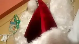 Hero's Log - December 8th | Elitist Real-Bearded Santas