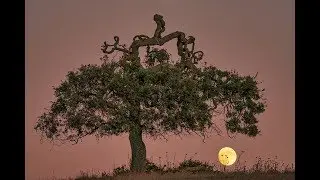 How to Plan a Moon Shoot with The Photographer's Ephemeris