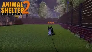 Animal Shelter 2 #69 - Clumsy Leash Attempts - Let's Play