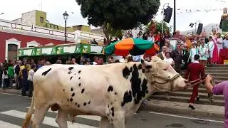 ENTREGA DE PREMIOS FERIA DE GANADO EN SAN ISIDRO 2018 GÁLDAR