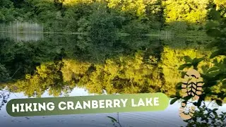 Hiking Cranberry Lake Preserve Westchester County NY