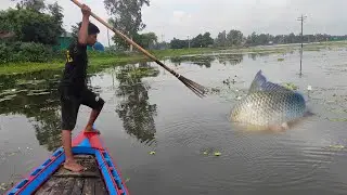 Village Natural Fishing Video / Primitive Boat Fishing Technique / Unique Crossbow Fishing Technique