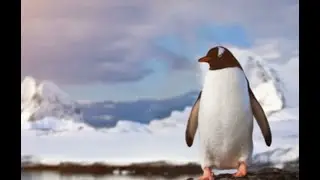 MakerFun LIVE: Make a Penguin and Floating Raft
